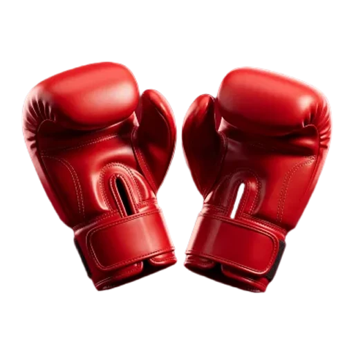 Luva de Boxe